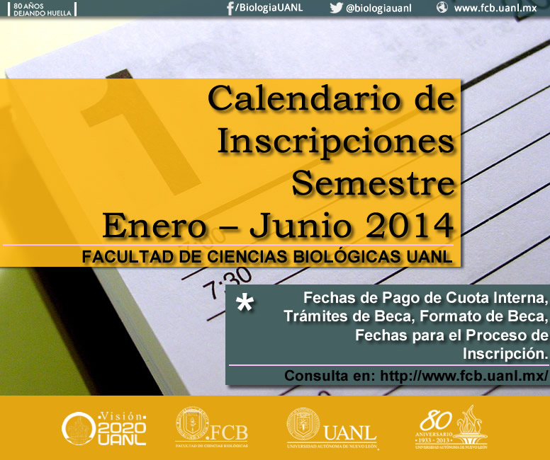 Calendario ene junio facebook 2013