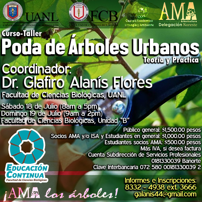 ama curso arboles