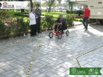 DSCF1342