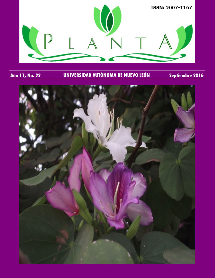 planta 22
