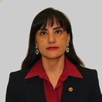 Silvia Guadalupe Treviño Moreno