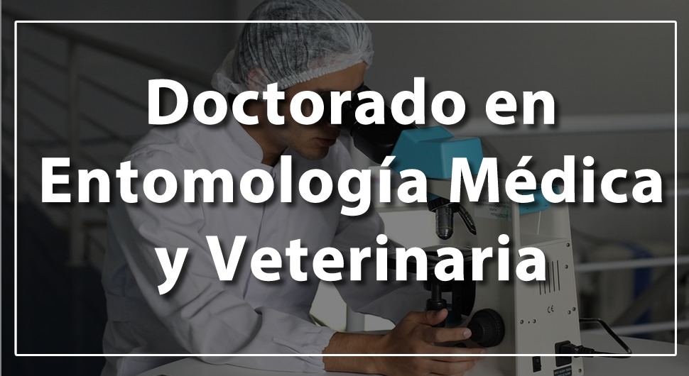 doctorado ent MV 970