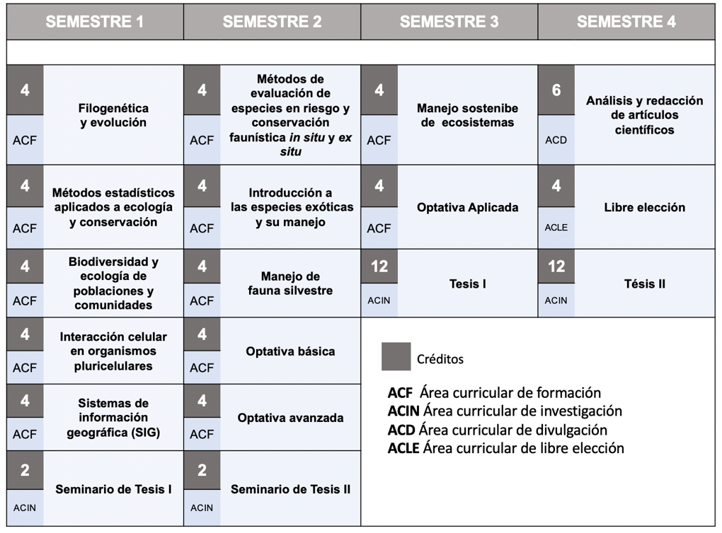 mapa_curricular_mcfss.png